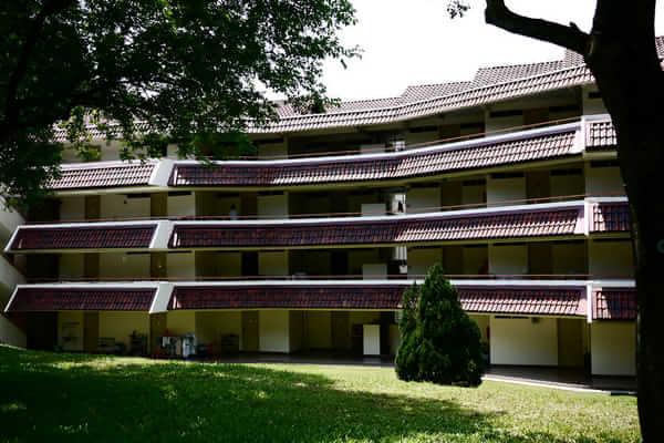 A-level成绩申请新加坡的公立大学几率大吗？