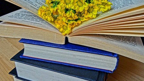 alevel中文教材,英国a水准,alevel数学知识点