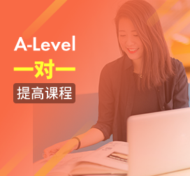 课窝A-Level一对一提高课程（定制课时）