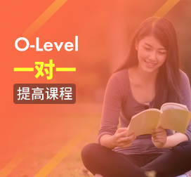 课窝O-Level一对一提高课程（定制课时）