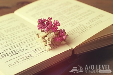 A-level物理不同于国内物理，你该如何备考？