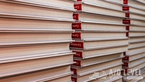 申请荷兰留学需要A-Level成绩吗？