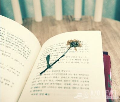 A-Level生物考试备考，这些你得知道