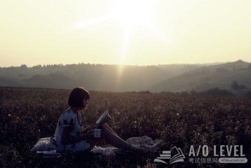 A-Level生物考试关于淀粉如何分类的介绍
