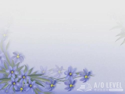 关于A-Level商务考试这些你该知道