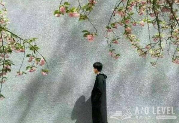 A-level考试高分复习方法有哪些？