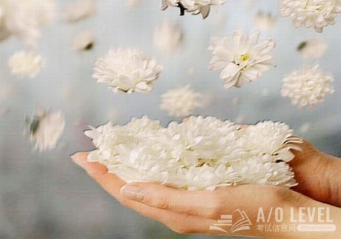 A-Level物理考试公式大全（1）