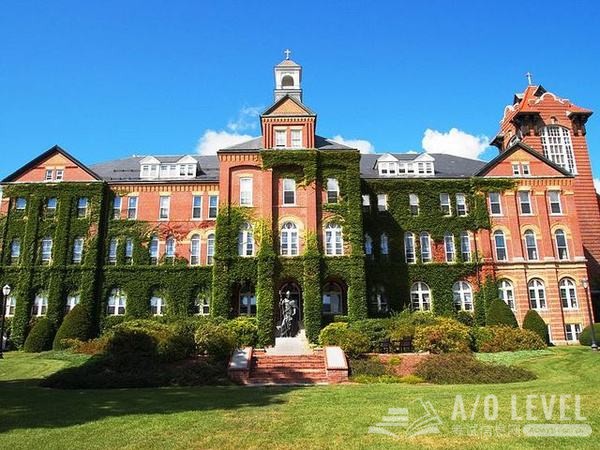 A-level化学备考：废气废液处理实验讲解（1）