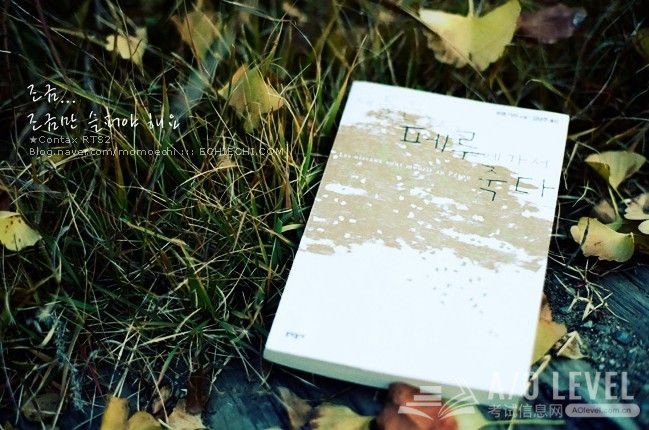 A-Level地理考试知识点：光照与热量
