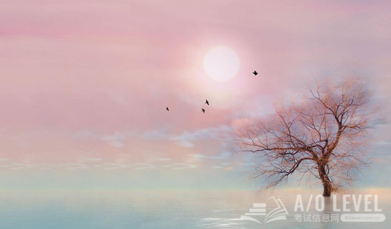 A-level物理考试：光的反射和折射公式总结