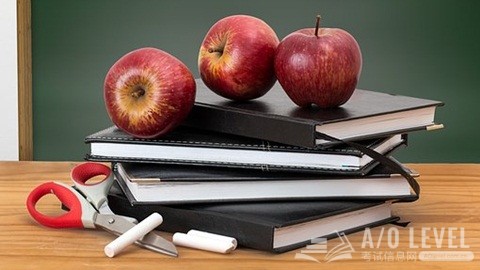 ALevel经济实战技巧！